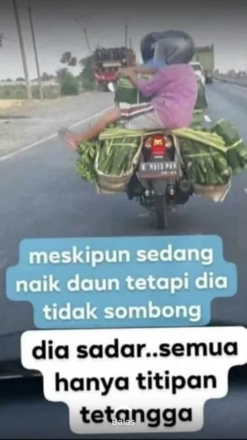11 Status WhatsApp Ibu-ibu yang Bikin Anaknya Tepuk Jidat. Nggak Bapak Nggak Emak, Sama Kocaknya! 21