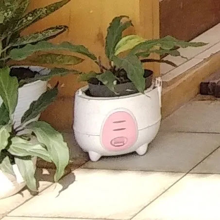 11 Benda Aneh yang Pernah Ada di Dalam Rumah, Antara Kreatif dan Random sih. Kocak Bener! :D 20