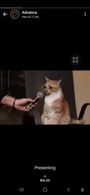 Beginilah Jadinya Kalau Ada Kampus buat Kucing. Please Welcome, Catcalling University! 18