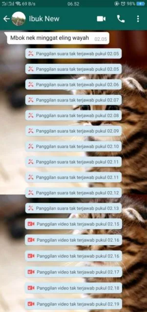 Disuruh Pulang Emak Saat Lagi Main Emang Ngeselin, Tapi Kalau Lihat Chat Warganet ini Lucu juga~ 22