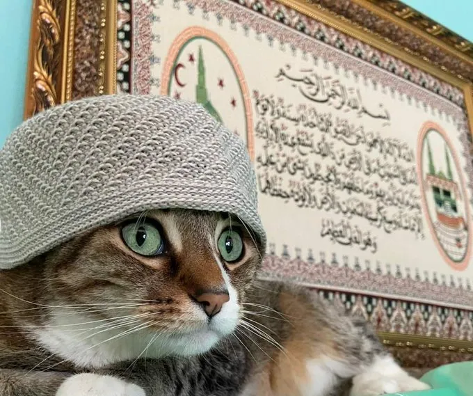 11 Gambar Kucing Taat Beragama. Harusnya Hooman juga Gini dong, Masa Kalah sama Meong? 14