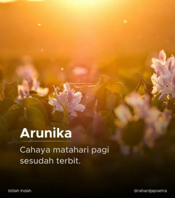 10+ Kata-Kata Indah Bahasa Indonesia Aesthetic & Jarang Terdengar 17