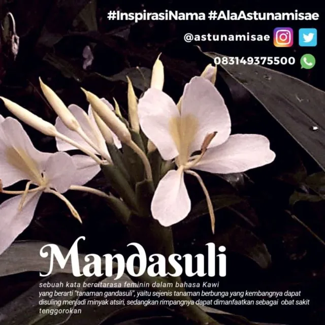 10+ Kata-Kata Indah Bahasa Indonesia Aesthetic & Jarang Terdengar 22