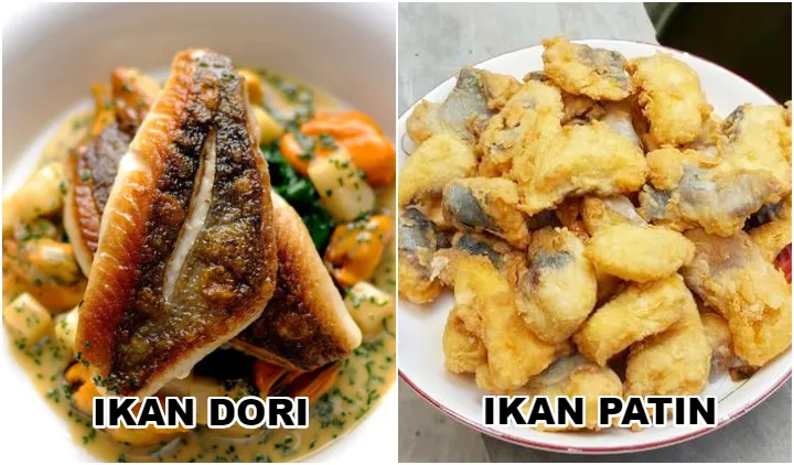 Penjelasan Ikan Dori dan 8 Perbedaan dengan Ikan Patin 16