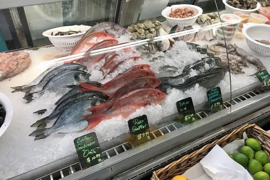 Penjelasan Ikan Dori dan 8 Perbedaan dengan Ikan Patin 15