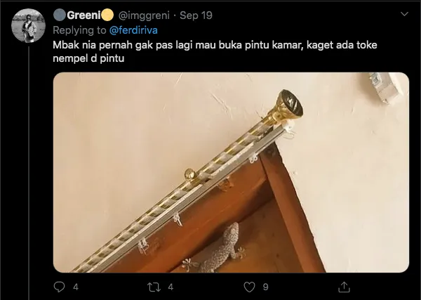 Hal-Hal yang Nggak Mungkin Terjadi di Rumah Nia Ramadhani. Warganet Tanyanya Aneh Banget sih~ 13