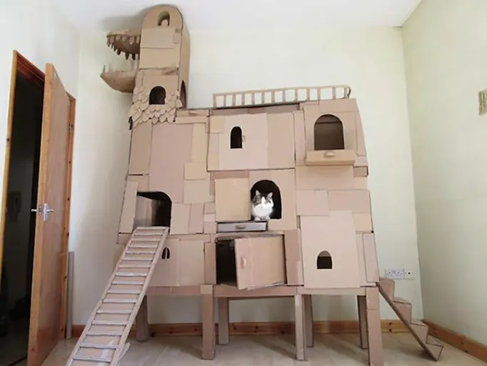 11 Model Singgasana Kocak buat Kucing. Bikinin deh, Biar Makin Berasa Mereka Adalah Majikan Kita~ 12