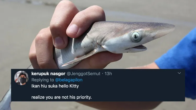 11 Deretan Pantun Gombal Ikan Hiu Kocak 18