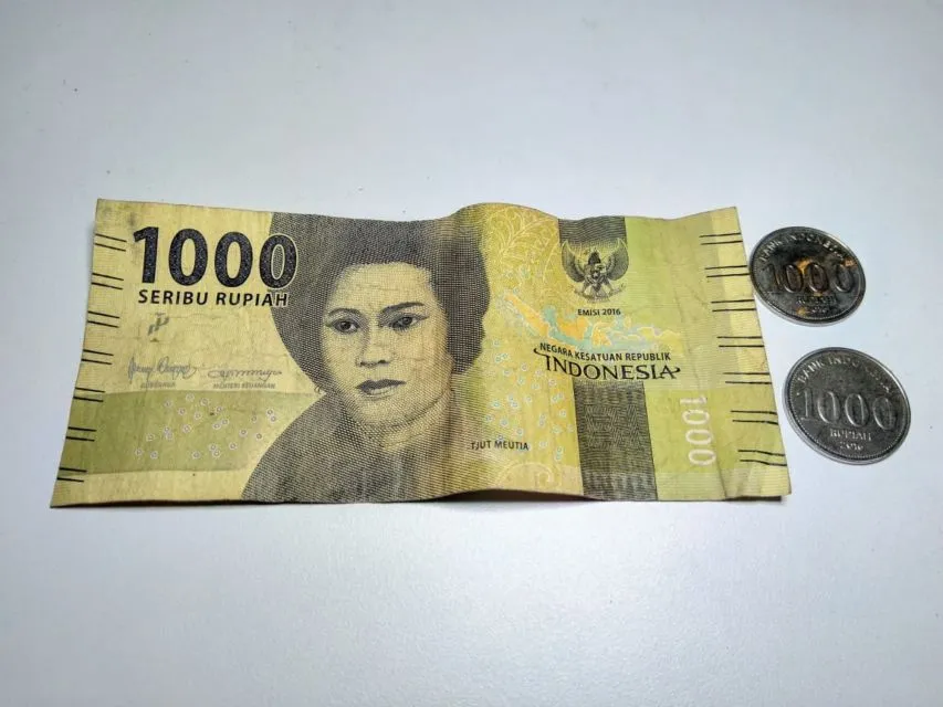 Kamu yang Sering Sia-siain Koin Rp1.000,00 Bakal Nyesel Setelah Baca Ini. Sayang Banget! 4
