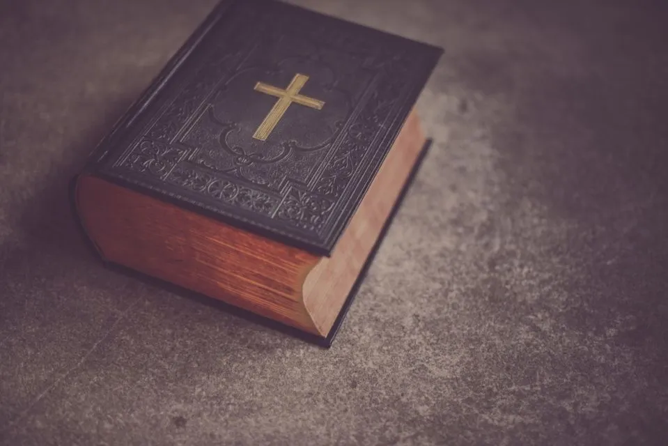 Untuk Para Pecinta Buku, ini 9 Fakta dan Serba-Serbi tentang Buku yang Mungkin Belum Kamu Ketahui 10