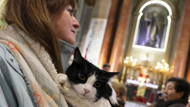 11 Gambar Kucing Taat Beragama. Harusnya Hooman juga Gini dong, Masa Kalah sama Meong? 21