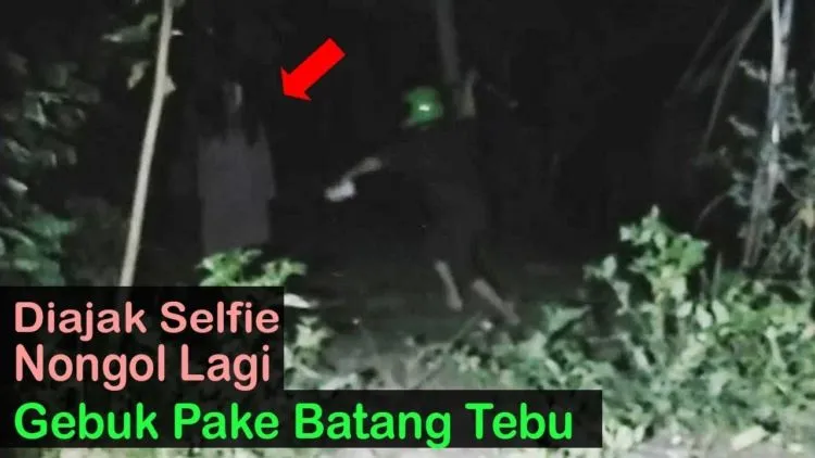 Hutan Digunduli Pengusaha Diam Aja, Giliran Rakyat Kencing di Pohon Dibuat Kesurupan. Dasar, Setan! 8