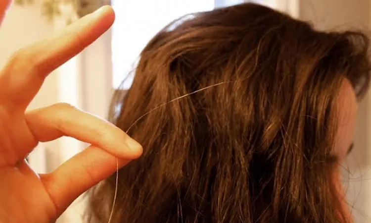 7 Mitos dan Fakta Tentang Rambut Uban. Memangnya Kalau Dicabut, Tumbuhnya Jadi Banyakan? 9