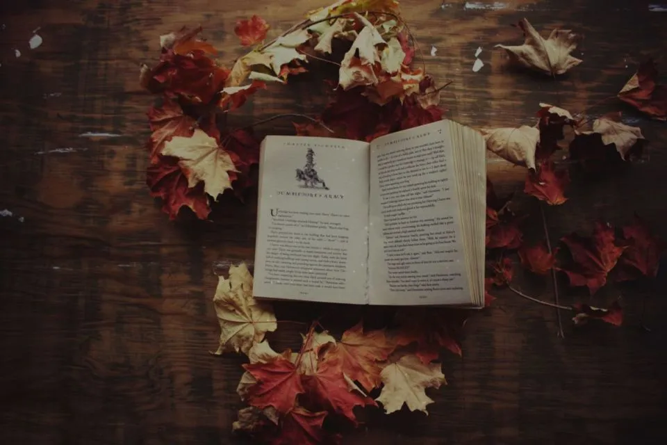 Kisah Sukses J.K. Rowling, Penulis Harry Potter. Sempat Hidup Terlunta-lunta 8