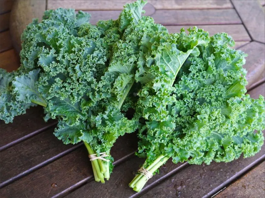 8 Sayuran Hijau yang Paling Sehat di Bumi dan Rugi Kalau Dilewatkan Tiap Hari. Superfood nih! 9