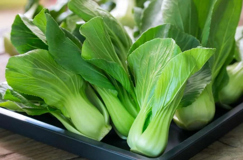 8 Sayuran Hijau yang Paling Sehat di Bumi dan Rugi Kalau Dilewatkan Tiap Hari. Superfood nih! 15