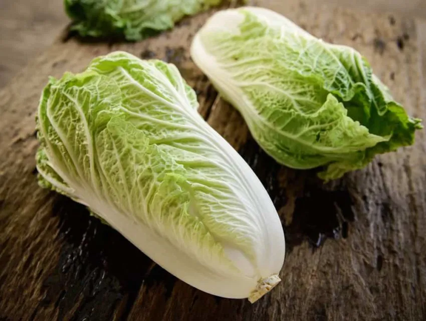 8 Sayuran Hijau yang Paling Sehat di Bumi dan Rugi Kalau Dilewatkan Tiap Hari. Superfood nih! 13