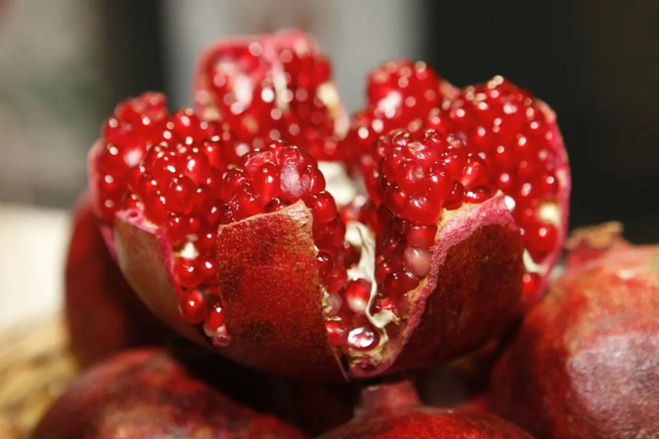 8 Buah Penambah Darah yang Ampuh Atasi Anemia. Asupan buat yang Lagi Mens atau Suka Kliyengan 16