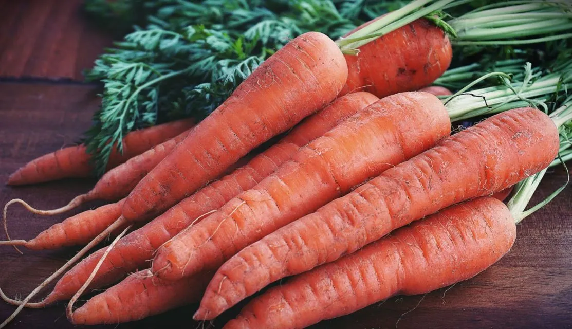 Rajin Konsumsi 9 Jenis Sayuran untuk Diet ini, Bobot Susut Setelah 7 Hari. Lama Kenyangnya! 13