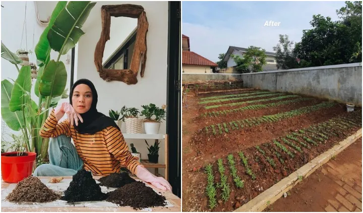 10 Rumah Artis yang Dipenuhi Berbagai Tanaman Hijau. Asri dan Rindang, Bikin Betah Berlama-lama 16