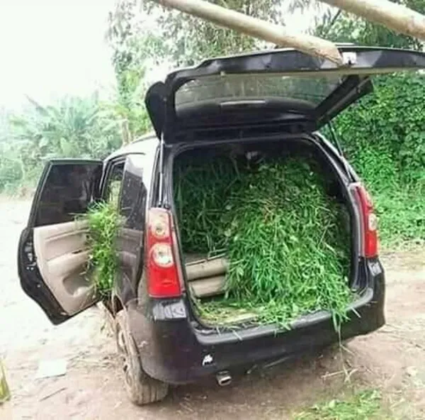Nggak Habis Pikir sama 11 Kelakuan Kocak Orang-Orang Kaya ini. Memangnya Mereka Setajir Apa sih? 12
