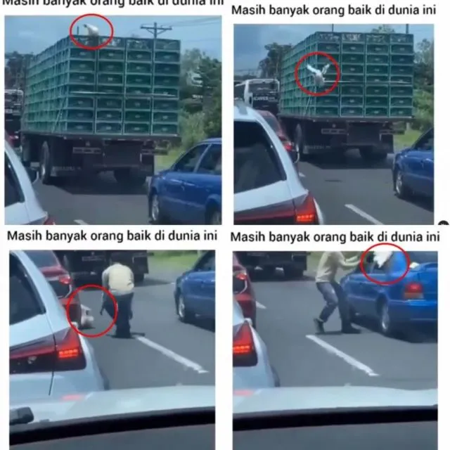 11 Gambaran Kocak Orang-Orang yang Nggak Mau Rugi. Medit Amat, Sampe Segitunya! :( 18