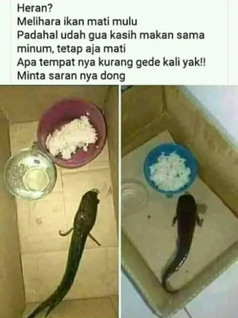 Bunda, Tolong Pantau Suami Baik-Baik Saat Mereka Gabut, ya. Sedih Kalau Kelakuannya Begini :( 19