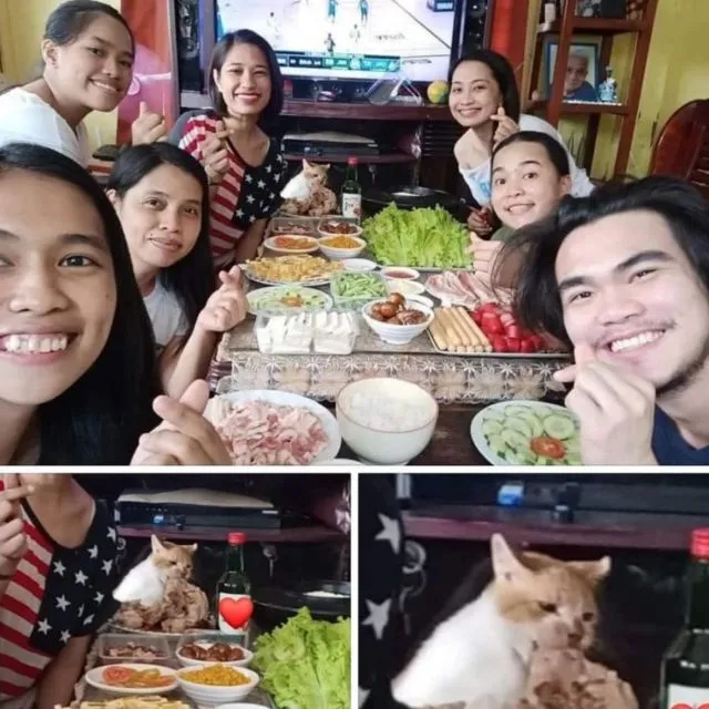Kelakuan Kocak Kucing Ikut Nimbrung Majikannya Saat Nongkrong. Makanya Nurut, biar Diajak Terus~ 16