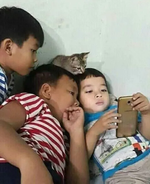 Kelakuan Kocak Kucing Ikut Nimbrung Majikannya Saat Nongkrong. Makanya Nurut, biar Diajak Terus~ 12