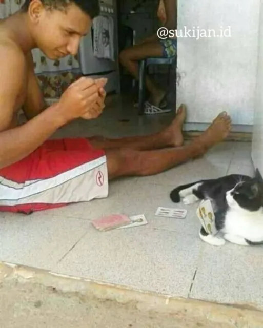Kelakuan Kocak Kucing Ikut Nimbrung Majikannya Saat Nongkrong. Makanya Nurut, biar Diajak Terus~ 17