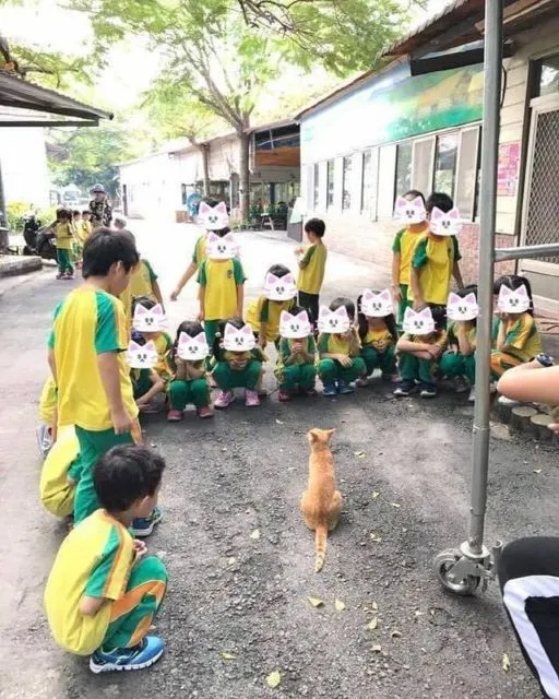 Kelakuan Kocak Kucing Ikut Nimbrung Majikannya Saat Nongkrong. Makanya Nurut, biar Diajak Terus~ 14