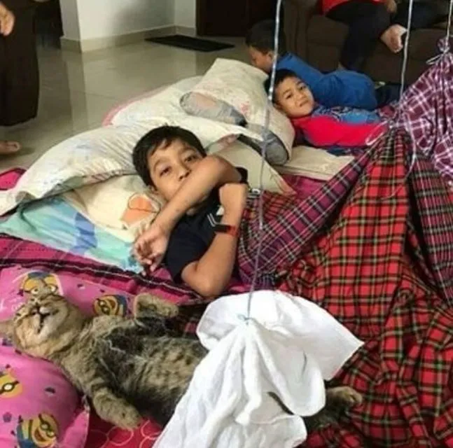 Kelakuan Kocak Kucing Ikut Nimbrung Majikannya Saat Nongkrong. Makanya Nurut, biar Diajak Terus~ 18