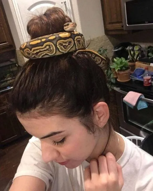 Ide Ikat Rambut dari Hal-Hal yang Nggak Kepikiran. Harga Ikat Rambut Paling Berapa sih? :( 22