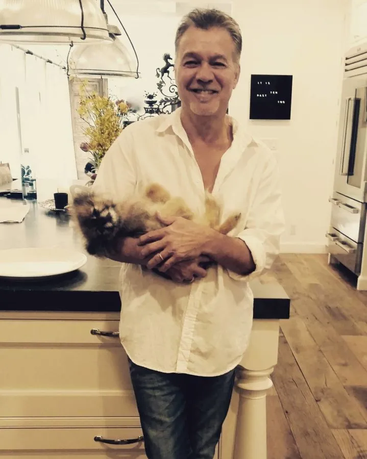 Gitaris Eddie Van Halen yang Meninggal Dunia Ternyata Keturunan Indonesia, Berikut 5 Faktanya 5
