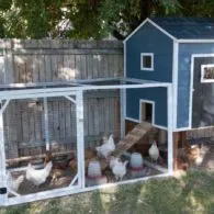 7 Rekomendasi Kandang Ayam Kayu Kreatif Anti Bau. Tempat Tidur dan Pakannya Nggak Jadi Satu