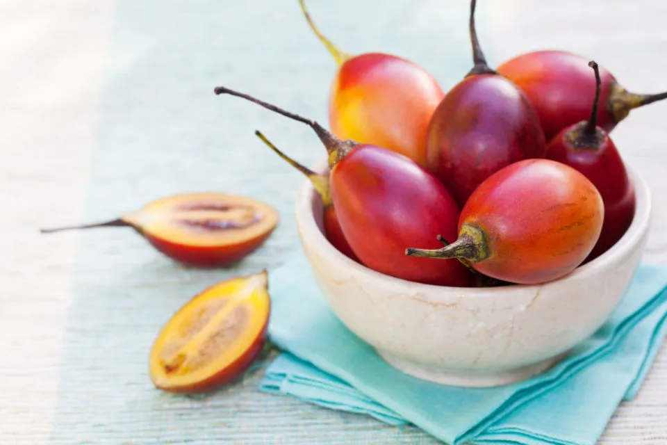 8 Manfaat Terong Belanda yang Sering Dijadikan Minuman Segar. Cegah Anemia, Bikin Awet Muda 9