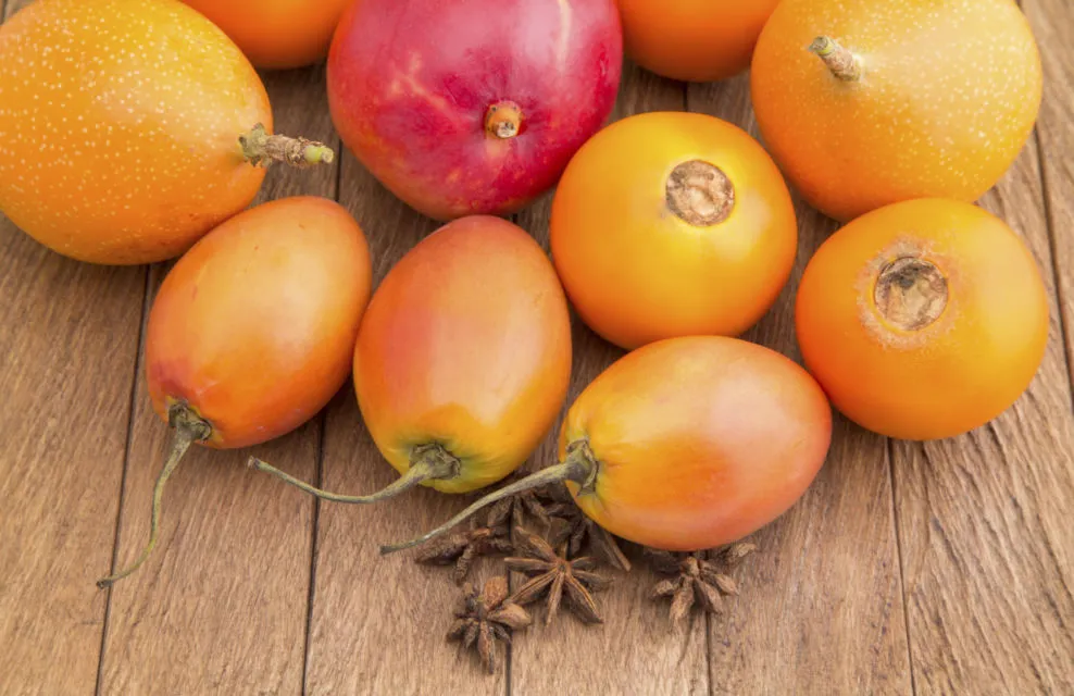8 Manfaat Terong Belanda yang Sering Dijadikan Minuman Segar. Cegah Anemia, Bikin Awet Muda 13