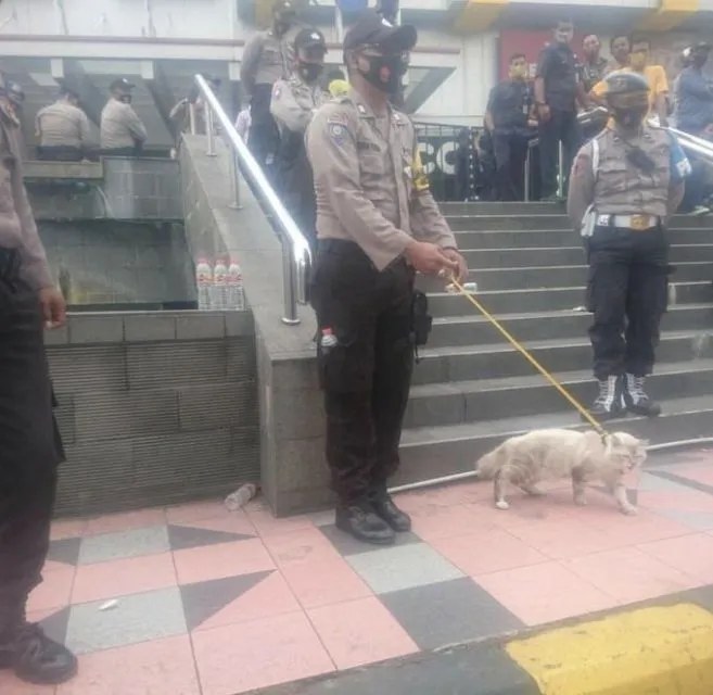 10 Hal Konyol yang Ditemukan Pasca Demo RUU Cipta Kerja Tempo Lalu. Kadang Protes Harus Lucu Gini! 18