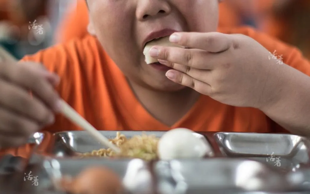 Berapa Kalori Nasi Putih? dan Nutrisi yang Terkandung di Dalamnya 12