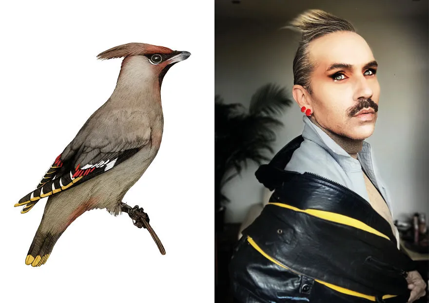 Pria Ini Mendadak Viral Karena Berdandan Mirip Seperti Burung-Burung di Lukisannya. Keren! 18