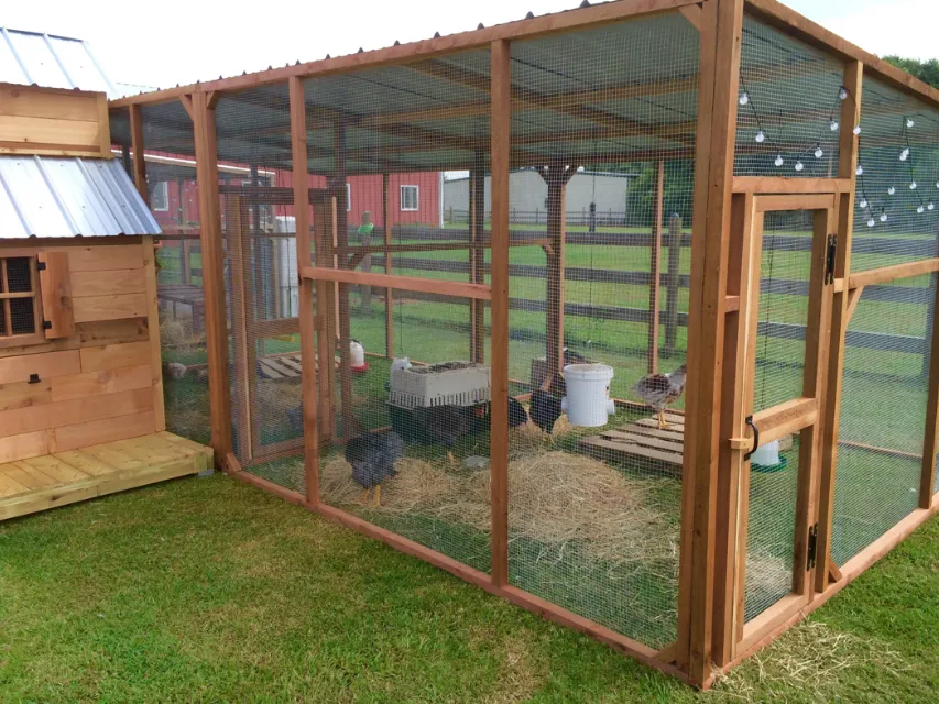 7 Rekomendasi Kandang Ayam Kayu Kreatif Anti Bau. Tempat Tidur dan Pakannya Nggak Jadi Satu 10