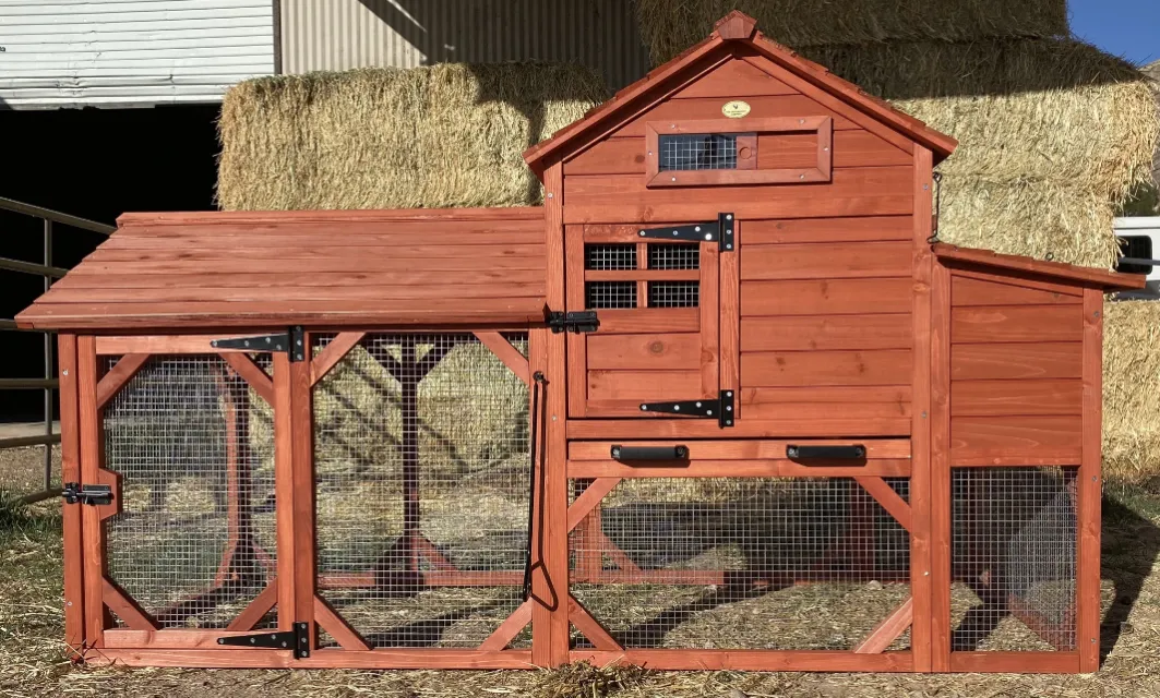 7 Rekomendasi Kandang Ayam Kayu Kreatif Anti Bau. Tempat Tidur dan Pakannya Nggak Jadi Satu 12
