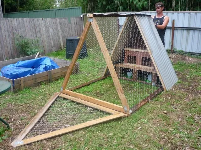 7 Rekomendasi Kandang Ayam Kayu Kreatif Anti Bau. Tempat Tidur dan Pakannya Nggak Jadi Satu 9