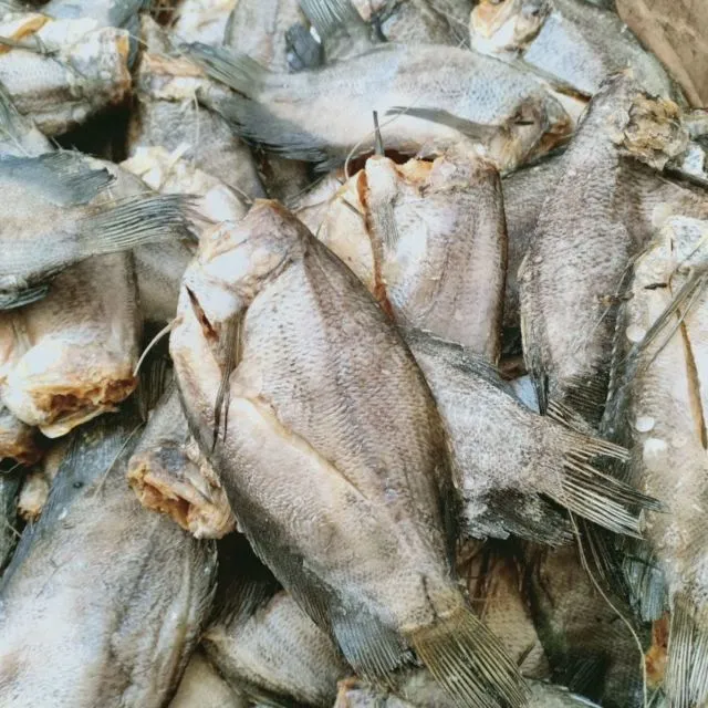 8 Jenis Ikan Asin yang Cocok Jadi Lauk Makanmu 12