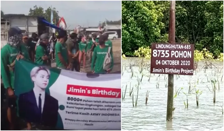 Rayakan Ulang Tahun Jimin BTS, ARMY Indonesia Tanam 8000-an Pohon Mangrove. Salut! 4