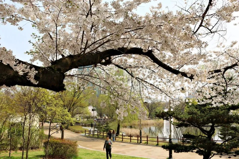 7 Lokasi Syuting Drama Korea ini Jadi Langganan Tempat Foto Pre-wedding Estetik. Terlalu Cantik! 12