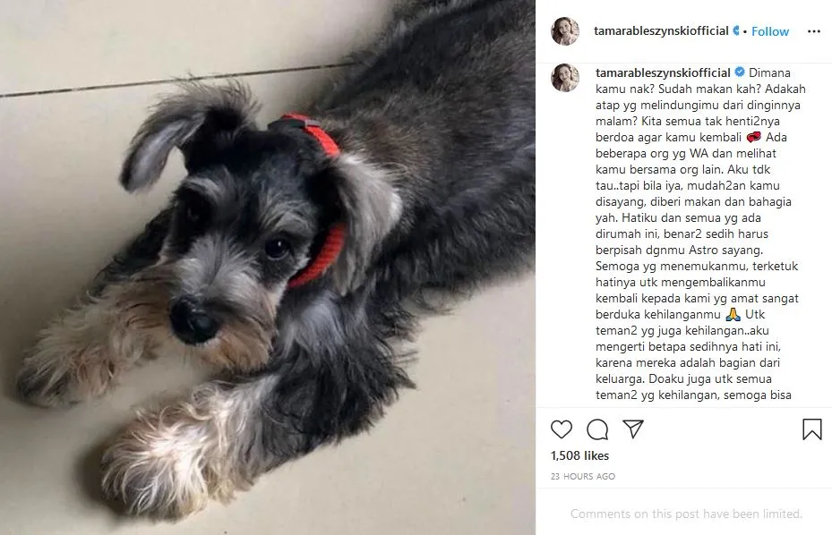 The Power of Social Media! Tamara Bleszynski Kembali Dipertemukan dengan Anjingnya yang Hilang 3
