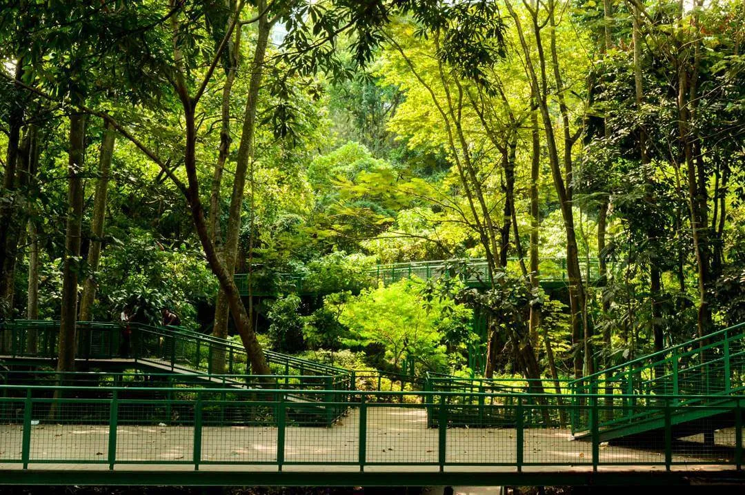 Kamu Pemberani? Yuk Main ke 10 Destinasi Horor di Bandung yang Sering Didatangi YouTuber ini 11