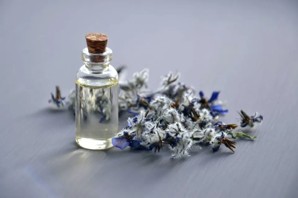 6 Aroma Essential Oil yang Bikin Tidur Lebih Pulas. Cukup Tetes di Bantal, Kantuk Cepat Datang 8