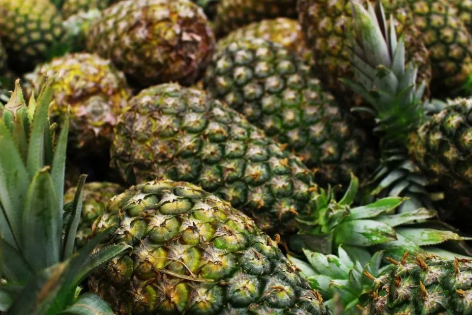 7 Cara Membedakan Nanas Madu dengan Nanas Biasa. Nggak Cukup Dibuktikan dengan Manisnya Saja 9